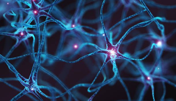 Appareil Tens pur soulager les douleurs liées à la fibromyalgie